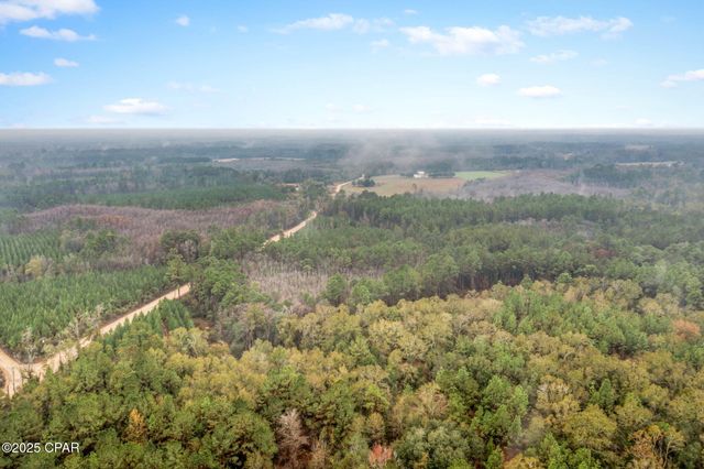 XXX White Road 12.78 Acres, Chipley, FL 32428