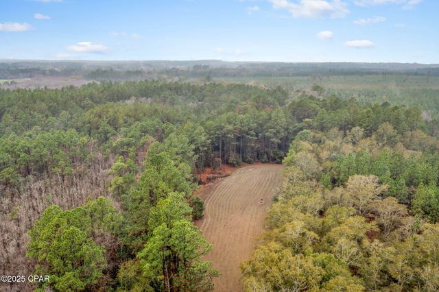 XXX White Road 12.78 Acres, Chipley, FL 32428