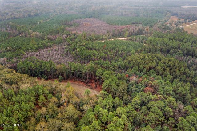 XXX White Road 12.78 Acres, Chipley, FL 32428