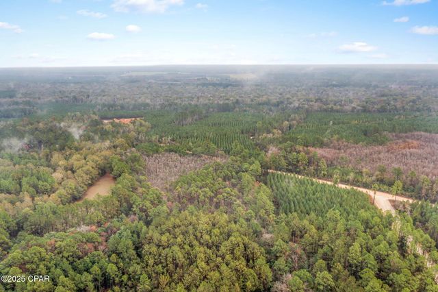 XXX White Road 12.78 Acres, Chipley, FL 32428