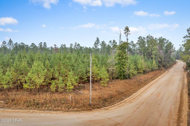 XXX White Road 12.78 Acres, Chipley, FL 32428