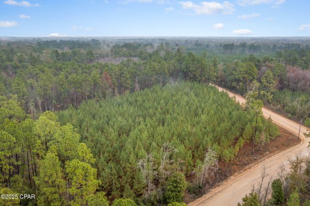 XXX White Road 12.78 Acres, Chipley, FL 32428