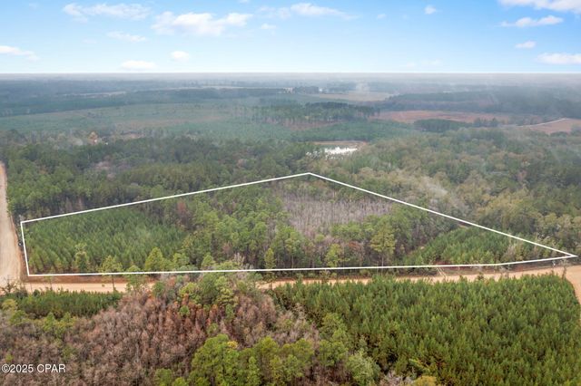 XXX White Road 12.78 Acres, Chipley, FL 32428