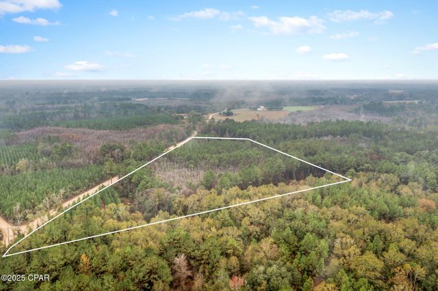 XXX White Road 12.78 Acres, Chipley, FL 32428