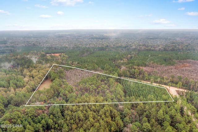 XXX White Road 12.78 Acres, Chipley, FL 32428