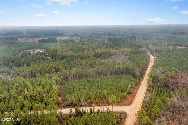 XXX White Road 12.78 Acres, Chipley, FL 32428