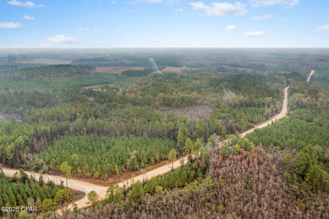 XXX White Road 12.78 Acres, Chipley, FL 32428