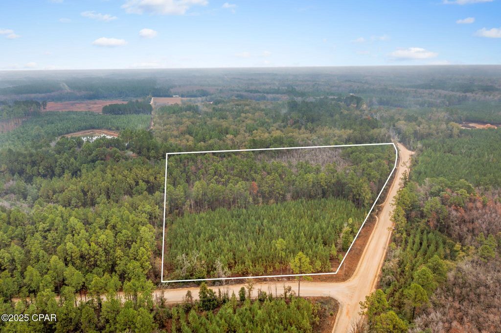XXX White Road 12.78 Acres, Chipley, FL 32428