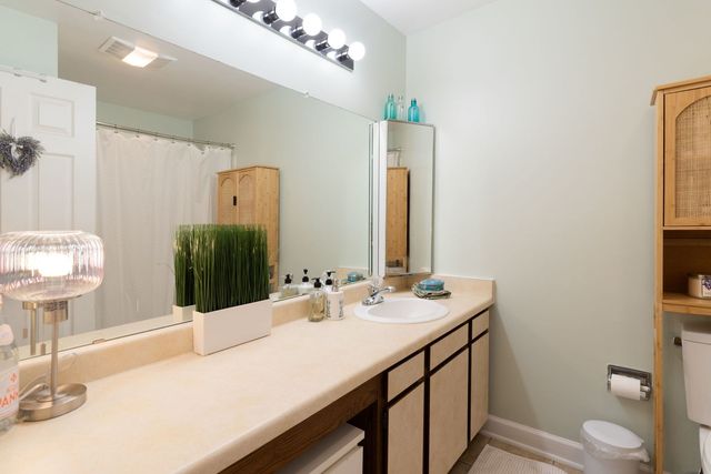 33561 N Royal Oak Lane 209, Grayslake, IL 60030