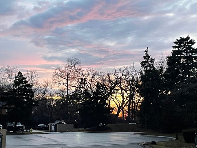 33561 N Royal Oak Lane 209, Grayslake, IL 60030