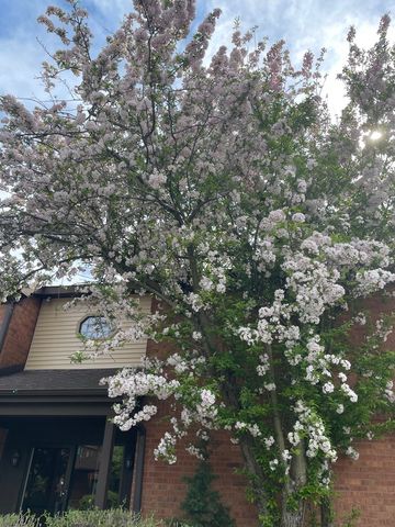 33561 N Royal Oak Lane 209, Grayslake, IL 60030