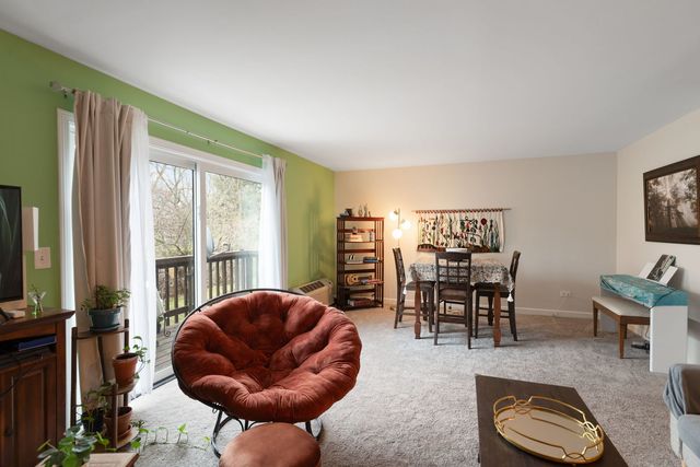 33561 N Royal Oak Lane 209, Grayslake, IL 60030