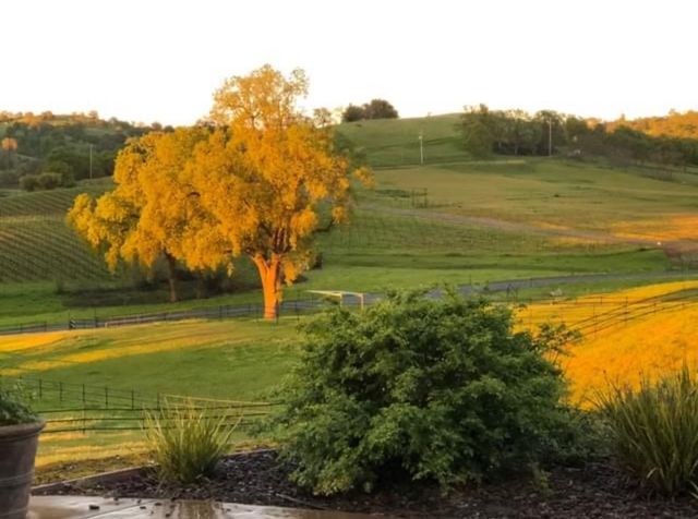 11195 Vintage Rd, Ione, CA 95640