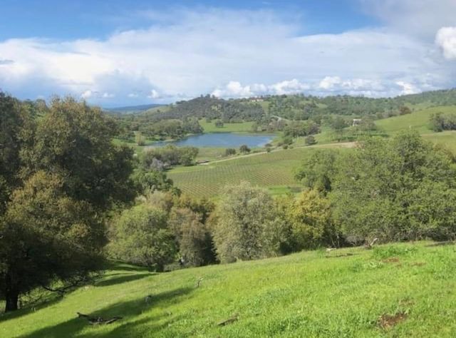 11195 Vintage Rd, Ione, CA 95640