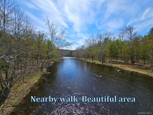 104 Canal Drive, Godeffroy, NY 12729