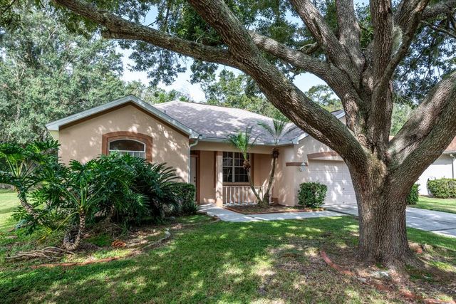 3327 MICHENER PLACE, Plant City, FL 33566