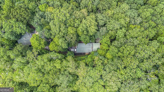 119 Green Bower Trail, Clayton, GA 30525