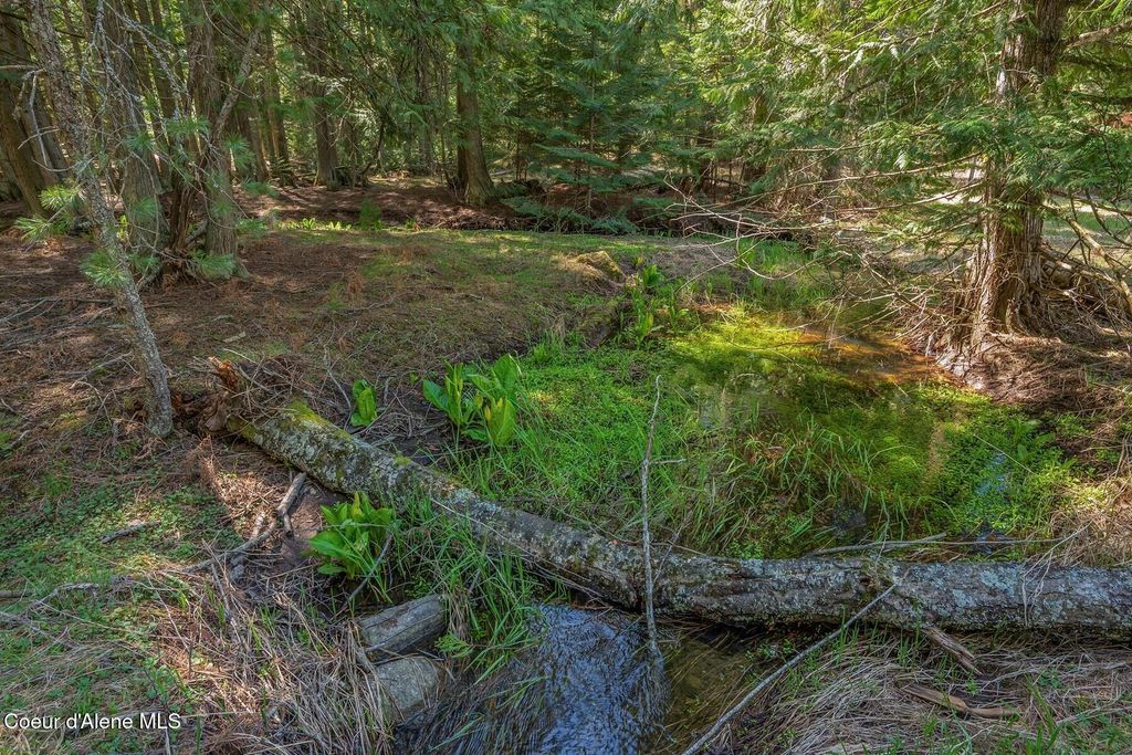 NNA Bottle Bay Rd, Sagle, ID 83860 photo 4