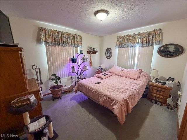 3875 Mcclintocksburg Road, Diamond, OH 44412