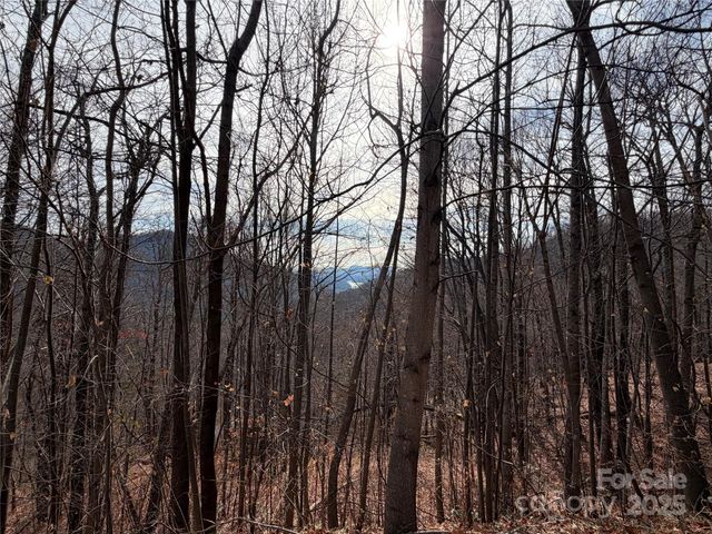 Lot 375 Rolling Ridge Trail, Lake Lure, NC 28746