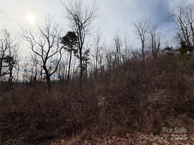 Lot 375 Rolling Ridge Trail, Lake Lure, NC 28746