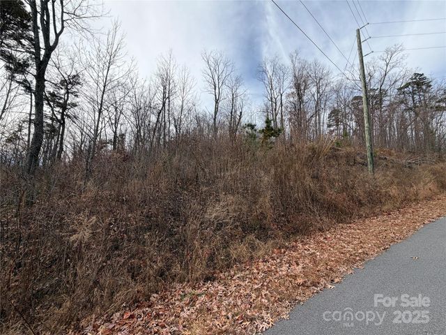 Lot 375 Rolling Ridge Trail, Lake Lure, NC 28746