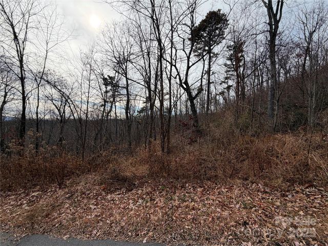 Lot 375 Rolling Ridge Trail, Lake Lure, NC 28746