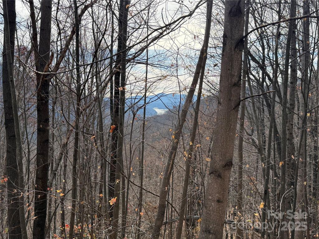 Lot 375 Rolling Ridge Trail, Lake Lure, NC 28746