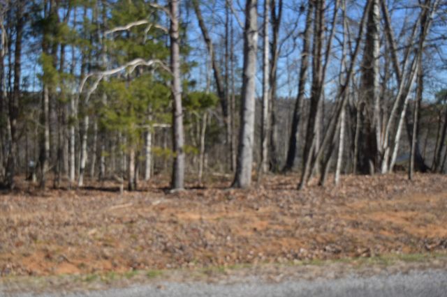 21 Laurel Lake Dr, Monteagle, TN 37356