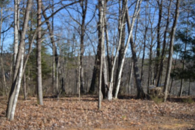 21 Laurel Lake Dr, Monteagle, TN 37356