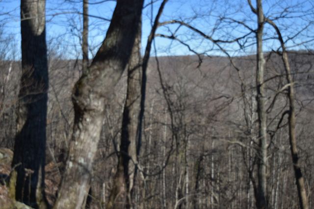 21 Laurel Lake Dr, Monteagle, TN 37356