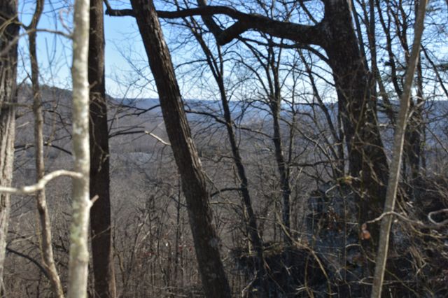 21 Laurel Lake Dr, Monteagle, TN 37356