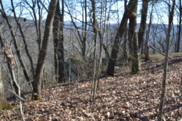 21 Laurel Lake Dr, Monteagle, TN 37356