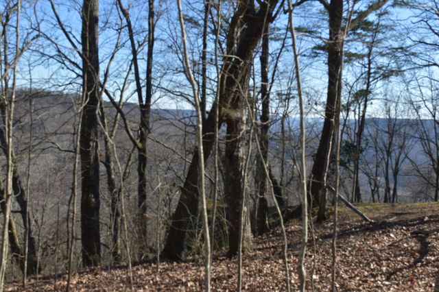 21 Laurel Lake Dr, Monteagle, TN 37356