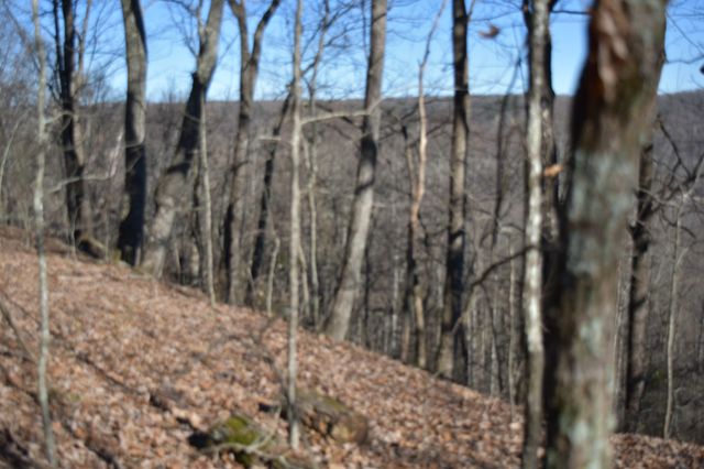 21 Laurel Lake Dr, Monteagle, TN 37356