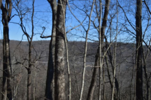 21 Laurel Lake Dr, Monteagle, TN 37356