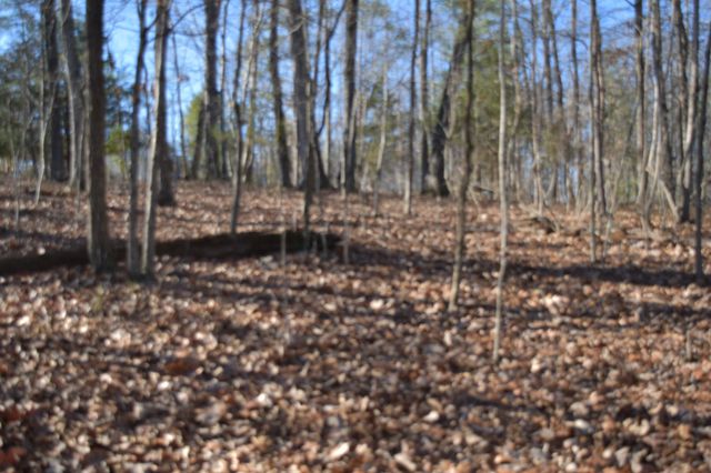 21 Laurel Lake Dr, Monteagle, TN 37356