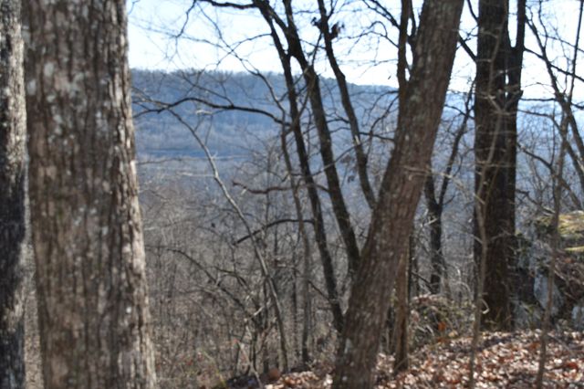 21 Laurel Lake Dr, Monteagle, TN 37356