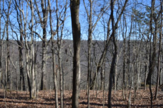 21 Laurel Lake Dr, Monteagle, TN 37356