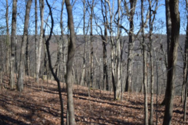 21 Laurel Lake Dr, Monteagle, TN 37356