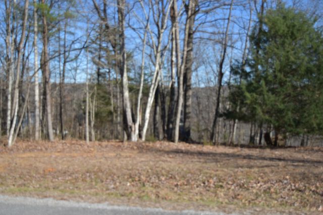 21 Laurel Lake Dr, Monteagle, TN 37356