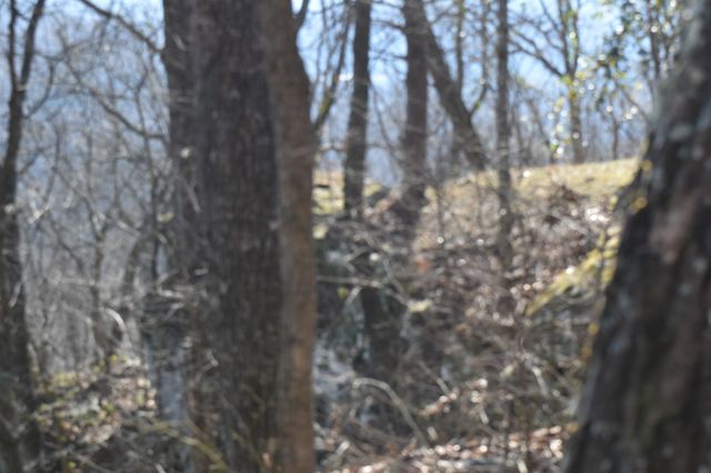 21 Laurel Lake Dr, Monteagle, TN 37356