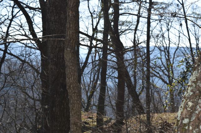 21 Laurel Lake Dr, Monteagle, TN 37356