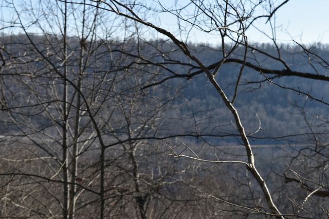 21 Laurel Lake Dr, Monteagle, TN 37356