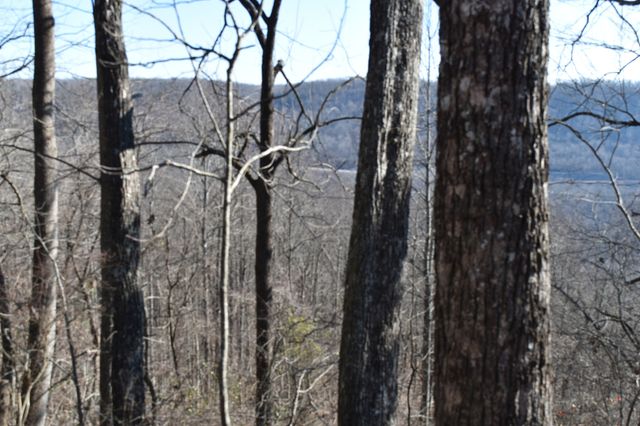 21 Laurel Lake Dr, Monteagle, TN 37356