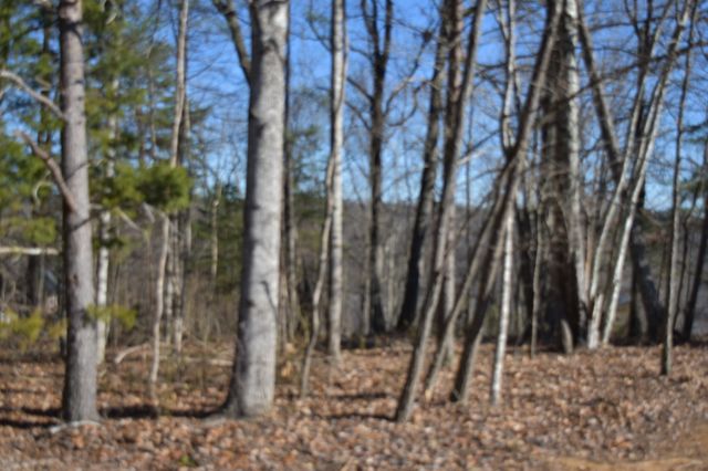 21 Laurel Lake Dr, Monteagle, TN 37356