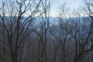 21 Laurel Lake Dr, Monteagle, TN 37356