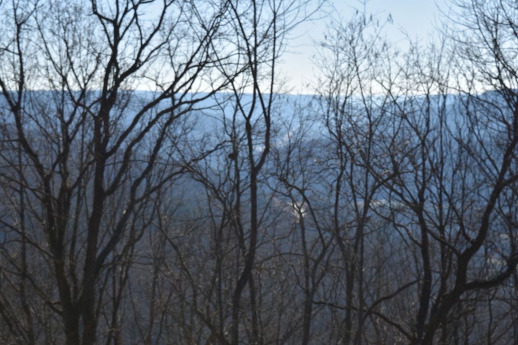 21 Laurel Lake Dr, Monteagle, TN 37356