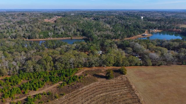 403 Lakeland Hills Drive, Ozark, AL 36360