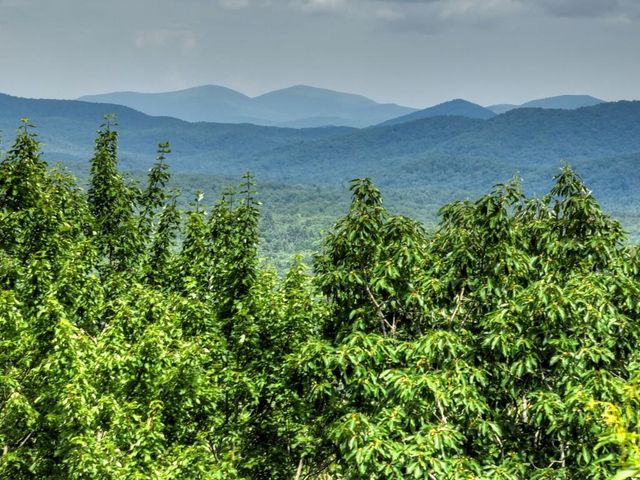 417 Bill Claypool Drive, Blue Ridge, GA 30513
